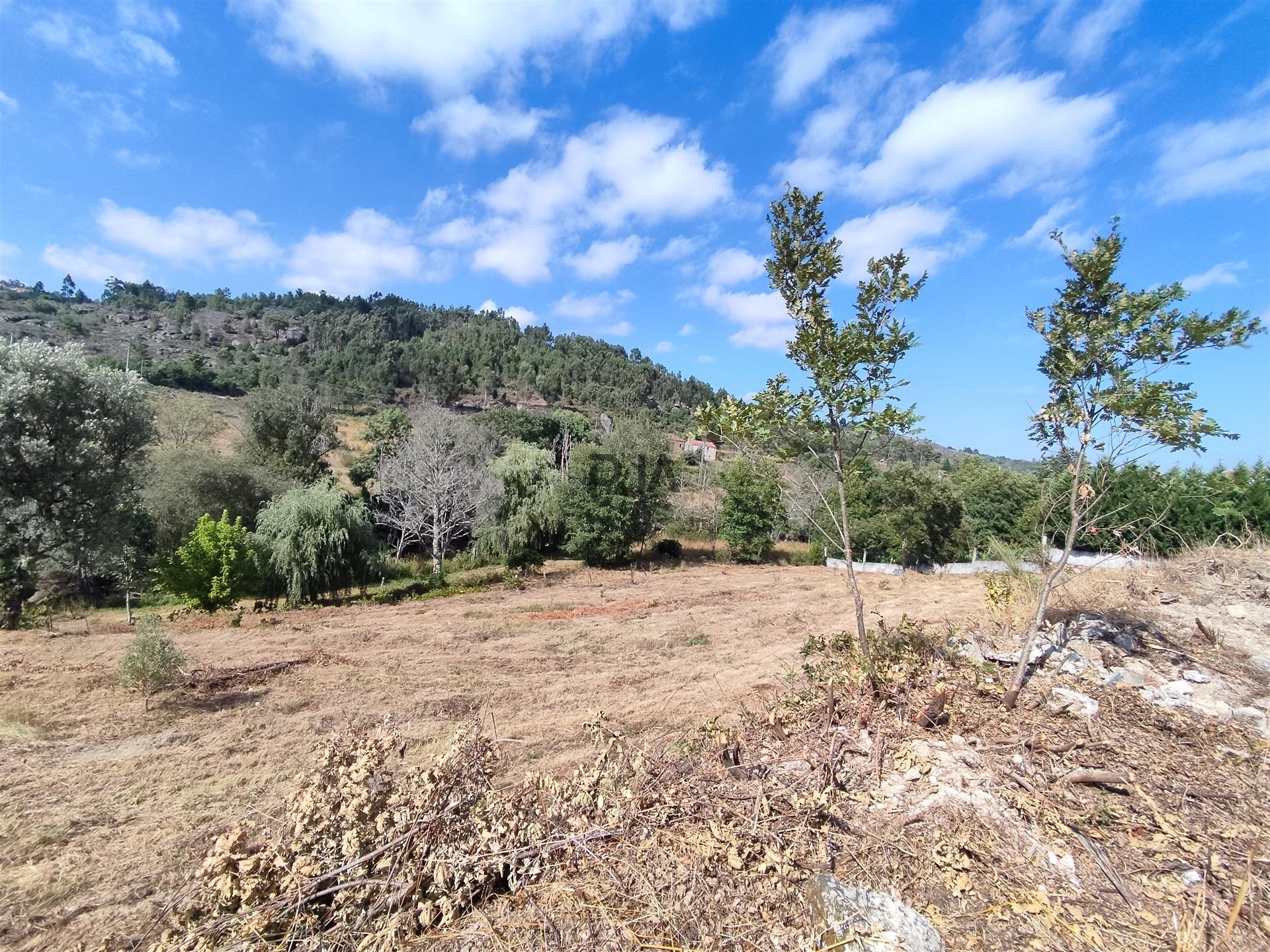 Terreno com 2000m2