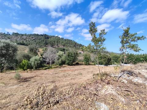 Terreno com 2000m2