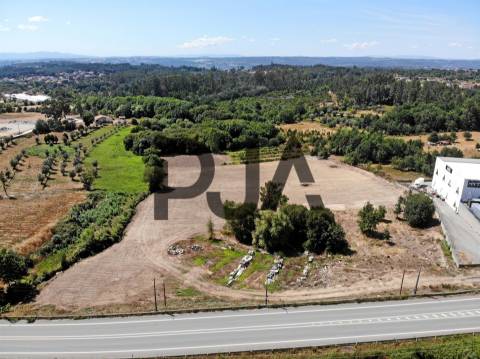 Terreno, Mangualde