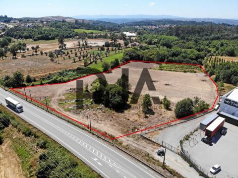 Terreno, Mangualde