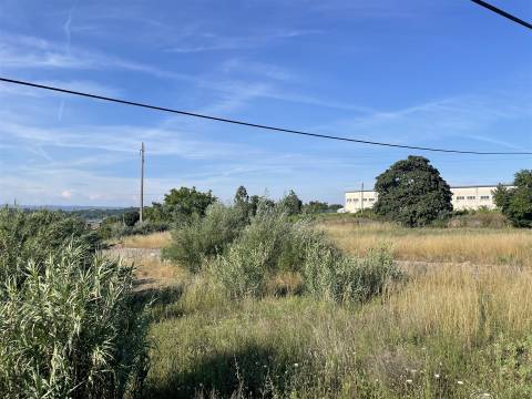 Terreno para construção (viabilidade industrial), Mangualde