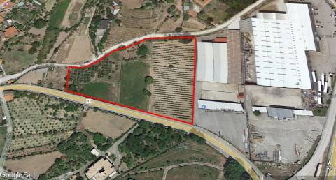 Terreno para construção (viabilidade industrial), Mangualde