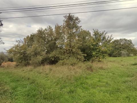 Quinta com 2ha em Aldeia das Posses