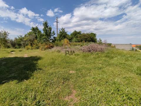 Quinta com 1,8ha em Sezures, Penalva do Castelo