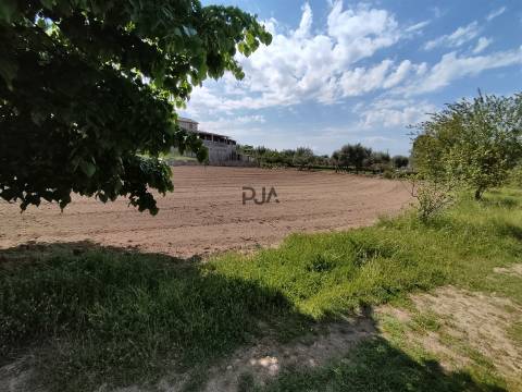 Quinta com 1,8ha em Sezures, Penalva do Castelo