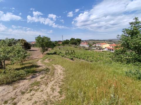 Quinta com 1,8ha em Sezures, Penalva do Castelo