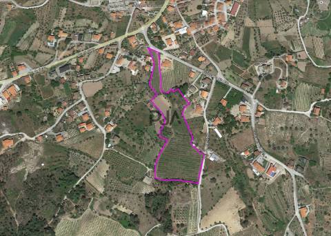 Quinta com 1,8ha em Sezures, Penalva do Castelo