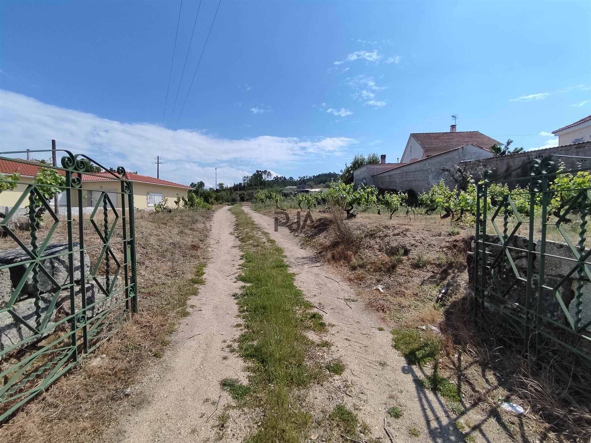 Quinta com 1,8ha em Sezures, Penalva do Castelo