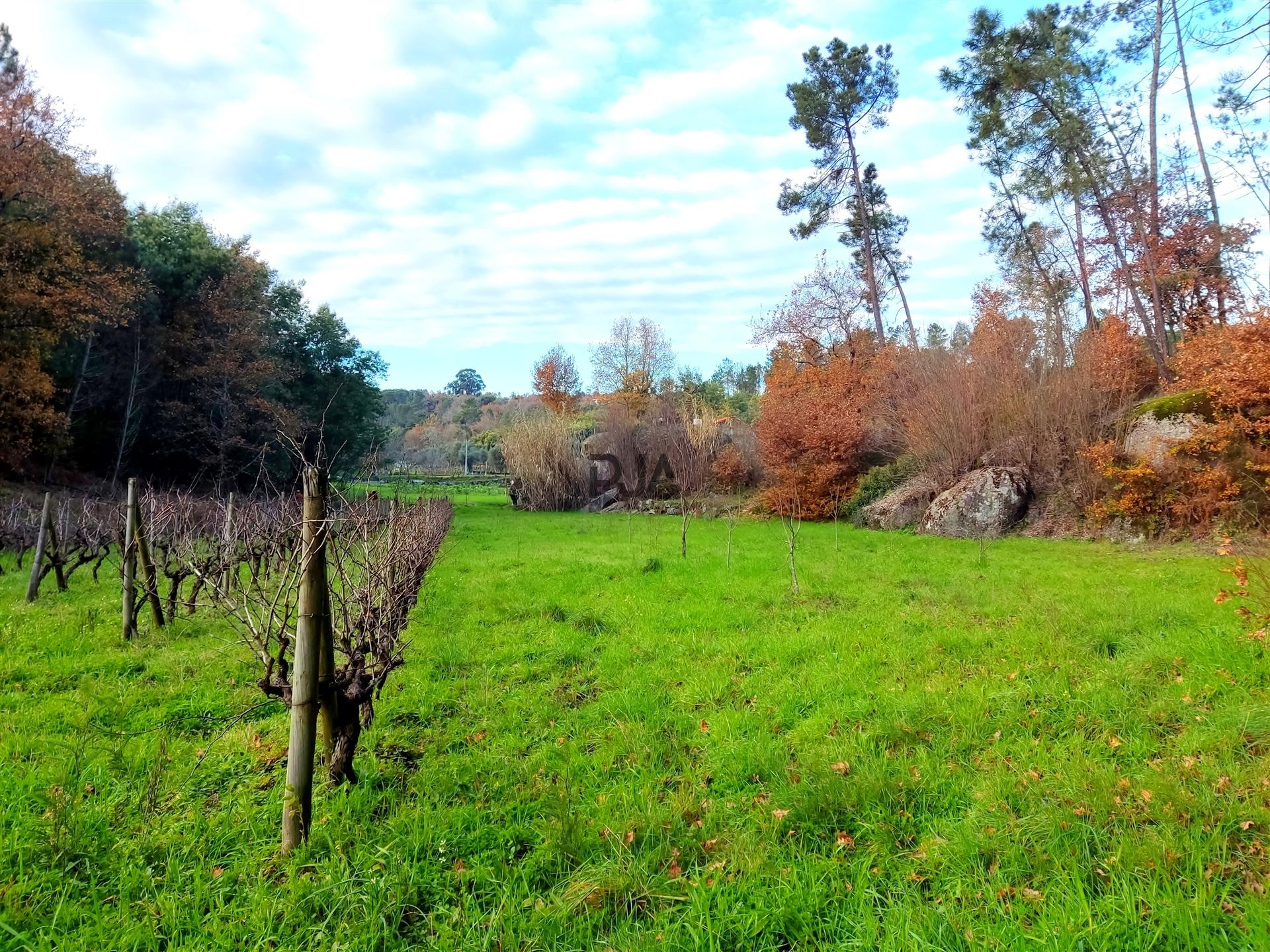 Terreno com viabilidade construtiva em Vila Corça