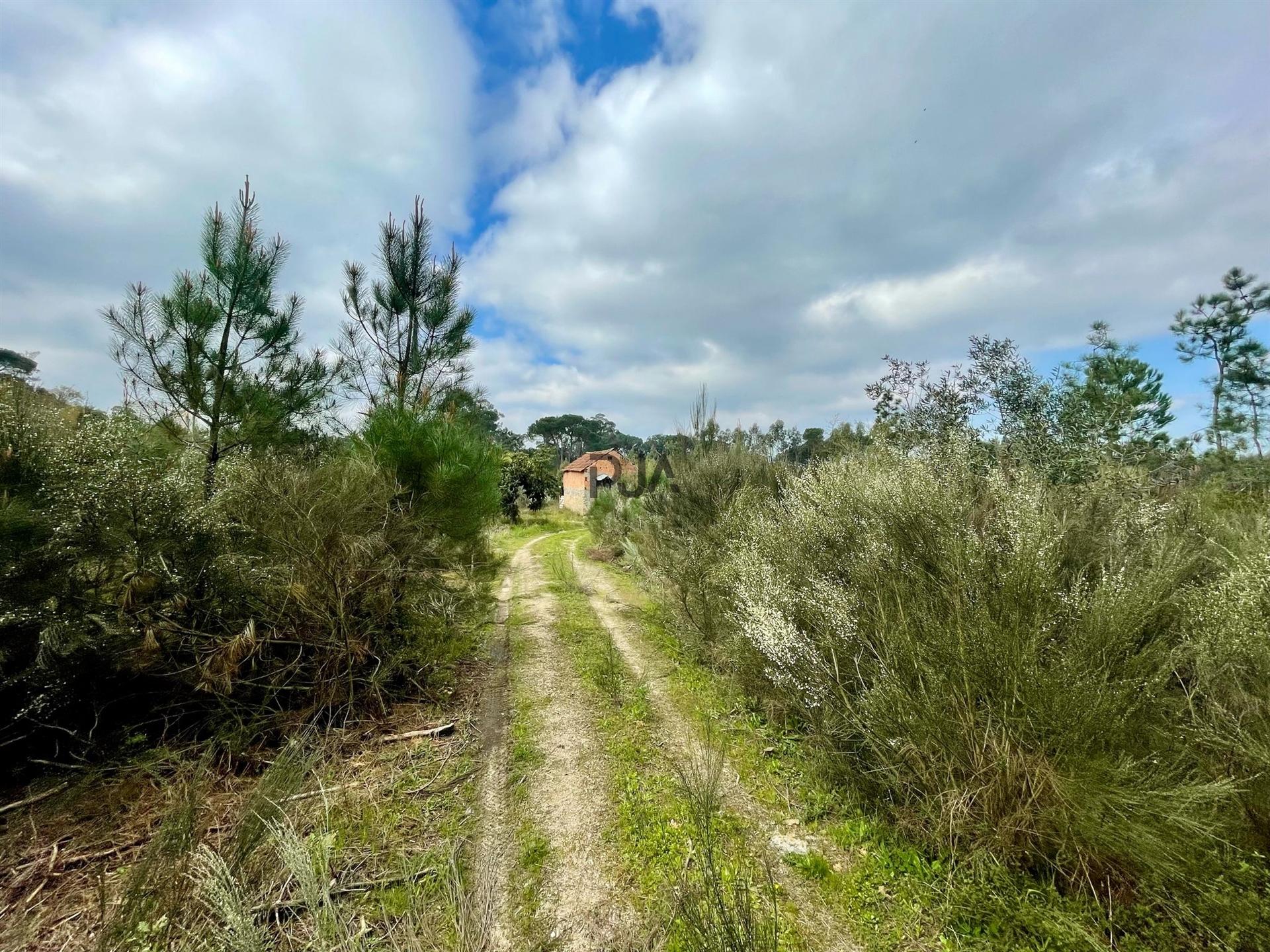 Terrenos mistos em Santar
