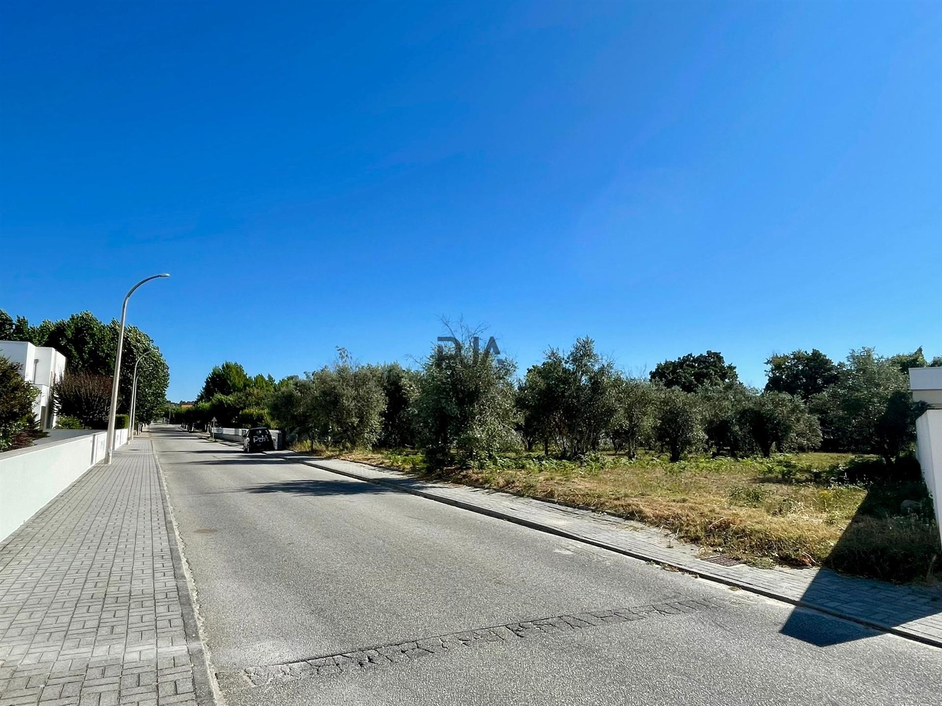 Terreno para construção em Canas de Senhorim