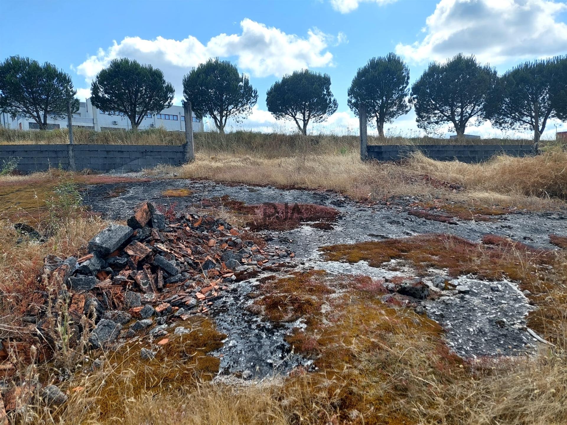 Terreno em Mangualde