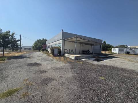 Pavilhão em Nelas