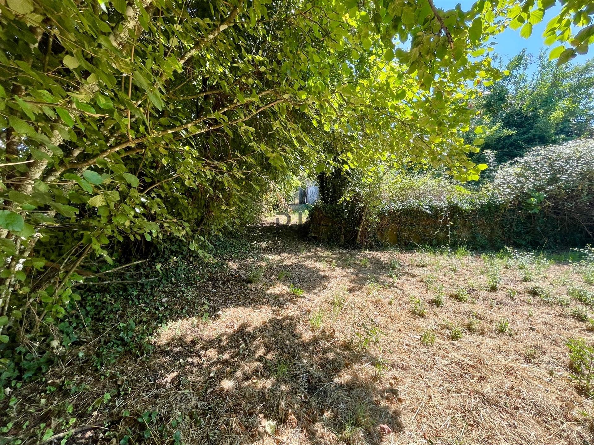 Terreno em Mangualde