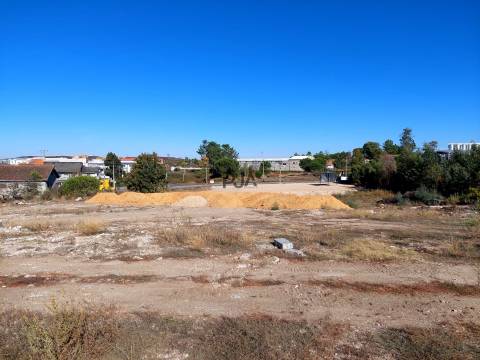 Lotes Industrial para arrendar em Mangualde