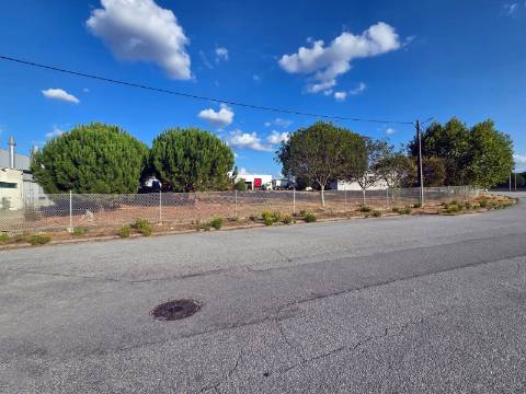 Terreno para arrendar em Nelas