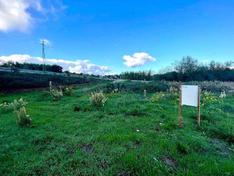 Terreno com viabilidade em Óvoa, Santa Comba Dão