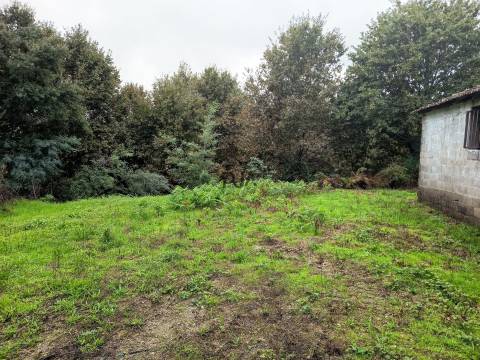 Terreno Misto em Treixedo, Santa Comba Dão