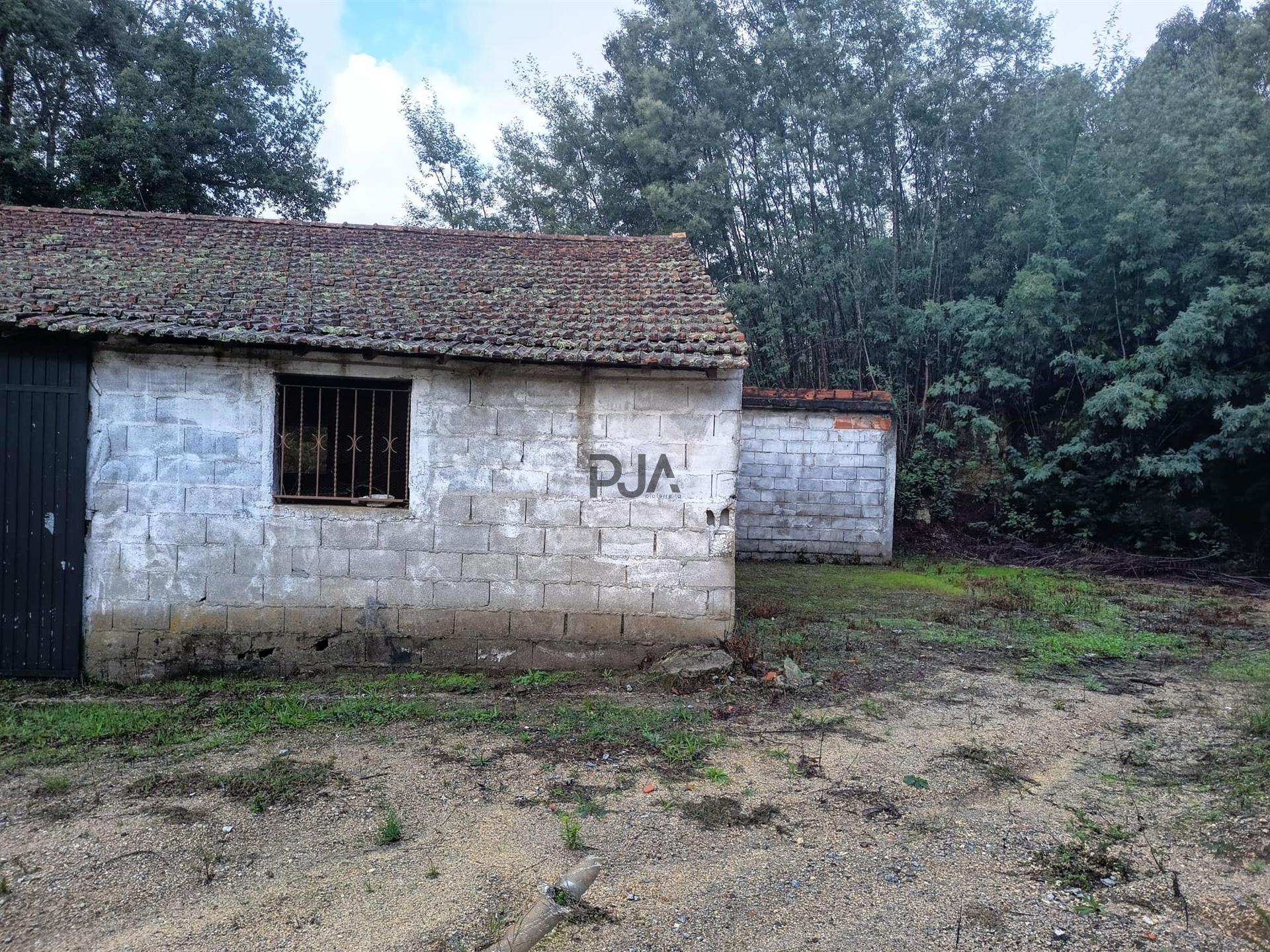 Terreno Misto em Treixedo, Santa Comba Dão