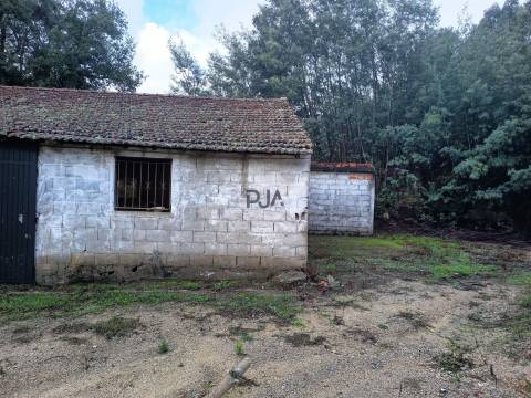 Terreno Misto em Treixedo, Santa Comba Dão