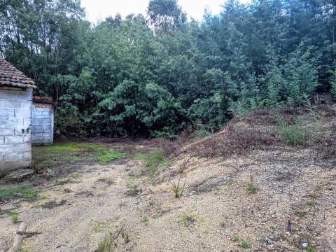 Terreno Misto em Treixedo, Santa Comba Dão