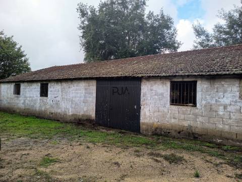 Terreno Misto em Treixedo, Santa Comba Dão