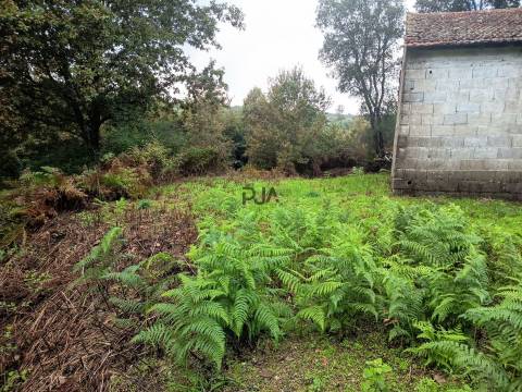 Terreno Misto em Treixedo, Santa Comba Dão