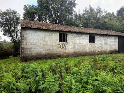 Terreno Misto em Treixedo, Santa Comba Dão