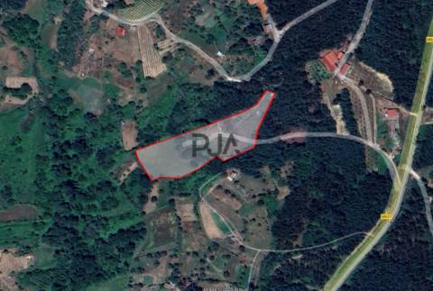 Terreno Misto em Treixedo, Santa Comba Dão