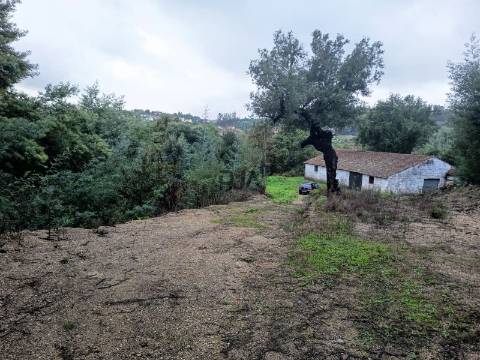 Terreno Misto em Treixedo, Santa Comba Dão