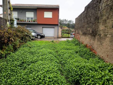 Terreno Rústico em Vila Meã, Mortágua
