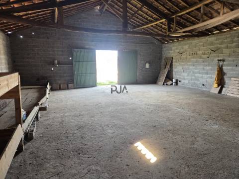 Moradia em Nogueira de Cima, Cepões, Viseu