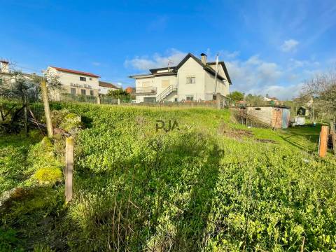 Terreno Misto em Teomil, Tondela