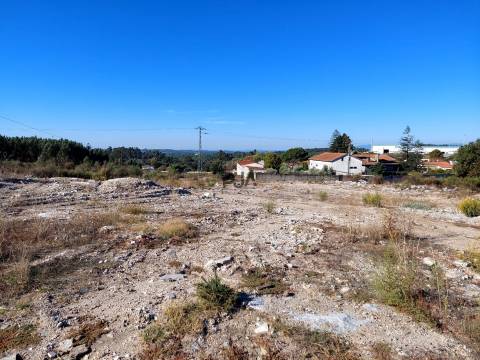 Lote Industrial em Mangualde