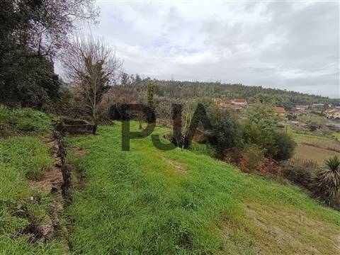 Terreno com Viabilidade de Construção em Treixedo, Santa Comba Dão