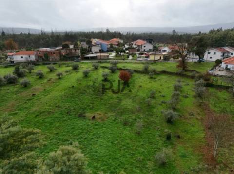 Terreno com Viabilidade de Construção em Mata, Tondela