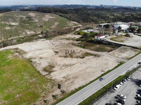 Terreno para arrendar em Nelas