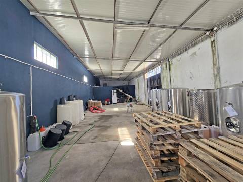 Arrumos/armazém para venda em Mangualde