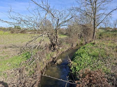 Quinta com 4,6Ha em Mangualde