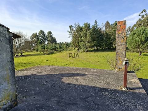 Quinta com 4,6Ha em Mangualde