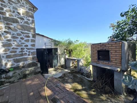 Quinta com cerca de 6.500 m² em Póvoa de Cervães, Mangualde