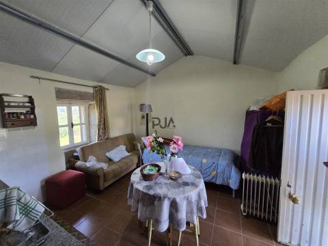 Quinta com cerca de 6.500 m² em Póvoa de Cervães, Mangualde