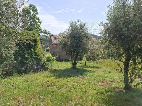 Casa tradicional em pedra para recuperar em Matança, Fornos de Algodres