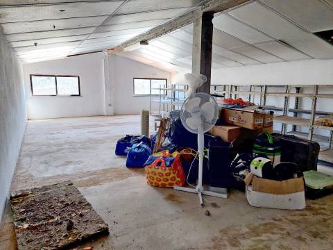 Sótão / Arrecadação para Arrendar em Mangualde