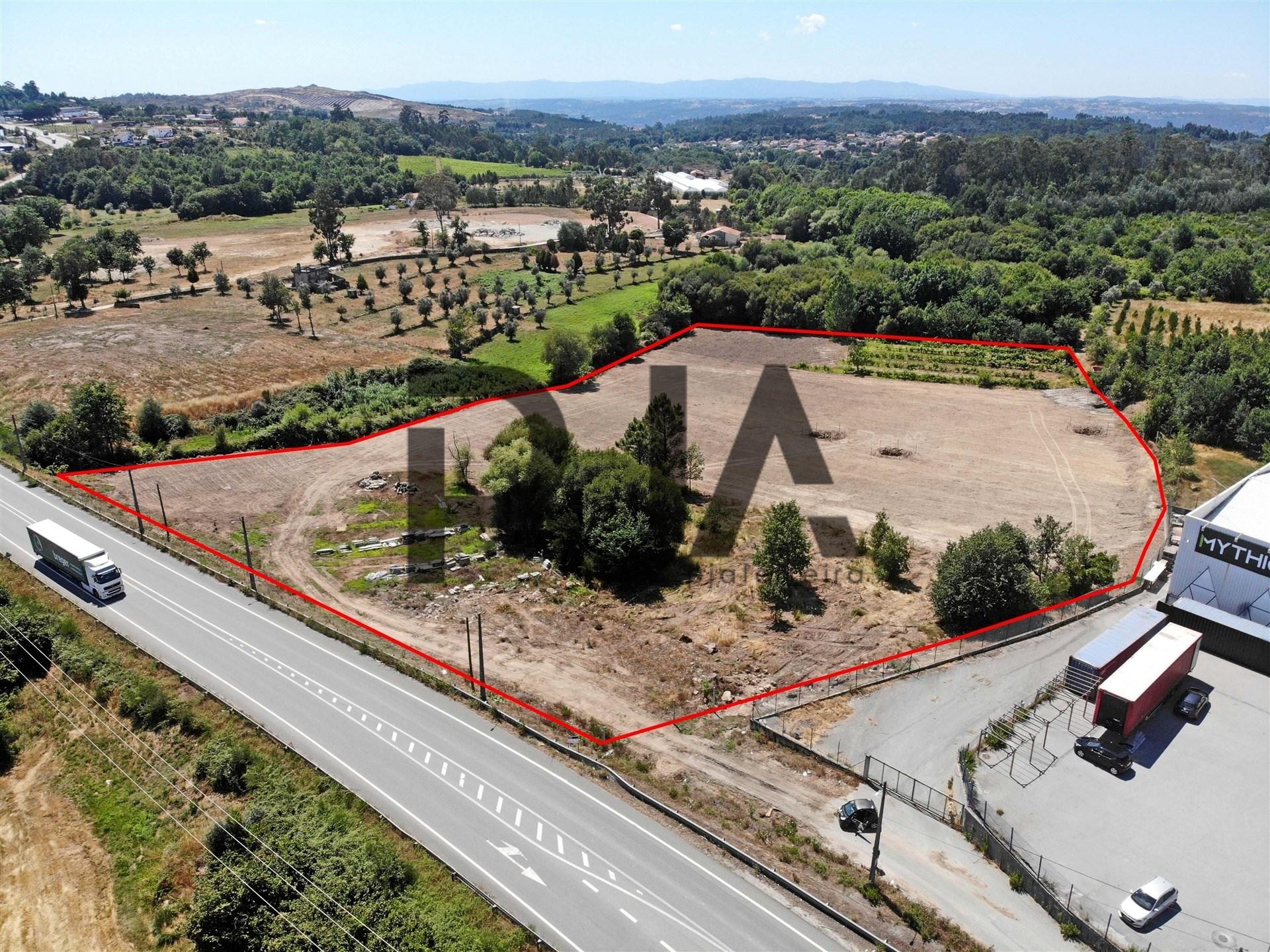 Terreno, Mangualde