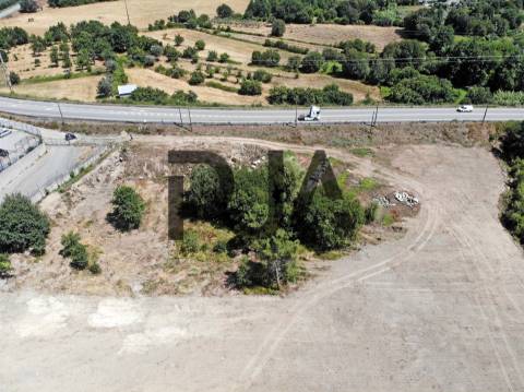 Terreno, Mangualde