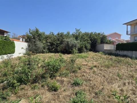 Lote para Construção em Mangualde