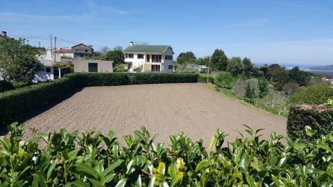 Terreno Moledo