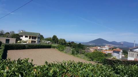 Terreno Moledo