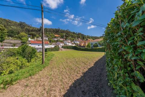 Terreno Moledo